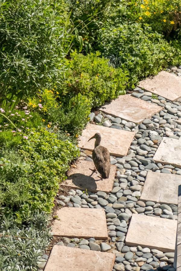 Ocean12 Guesthouse Sunset Beach Cape Town Bagian luar foto